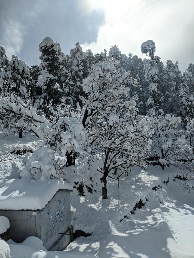 Namastay Himalayas, Канатал Екстер'єр фото
