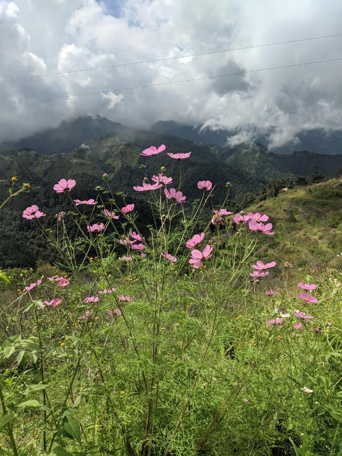 Namastay Himalayas, Канатал Екстер'єр фото